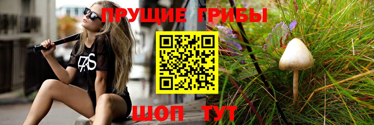 Волхов  Псилоцибиновые грибы Magic Shrooms  Вход с VPN 